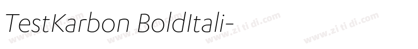 TestKarbon BoldItali字体转换 TestKarbon BoldItali字体转换